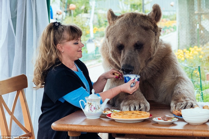 Cel mai ciudat cuplu de ruşi. Se aşază la masă cu ursul. GALERIE FOTO