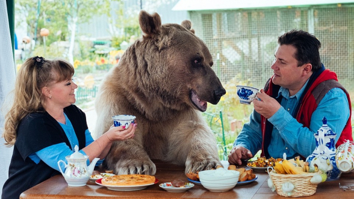 Cel mai ciudat cuplu de ruşi. Se aşază la masă cu ursul. GALERIE FOTO
