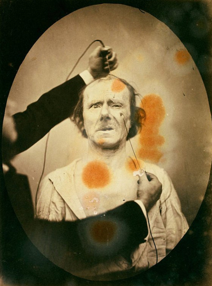 Ultimul experiment al lui Darwin: Fotografii tulburătoare din secolul XIX  