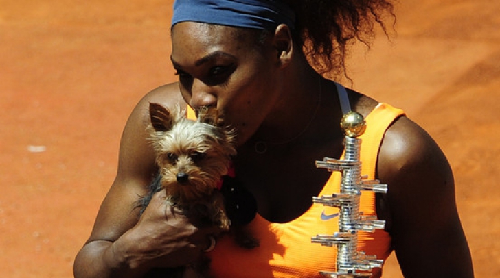 Serena Williams s-a făcut de râs în cel mai ruşinos mod cu putinţă. A recunoscut în faţa lumii