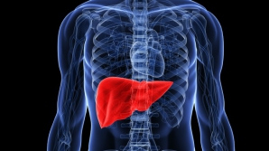 Cel mai eficient tratament naturist care ajută la regenerarea fiscatului. Efectele se văd imediat