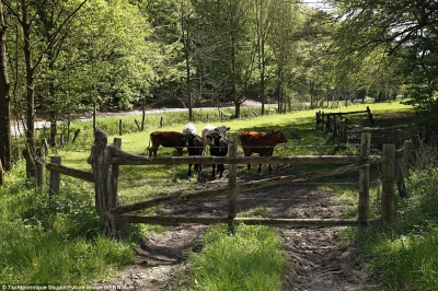 Cea mai tare provocare a verii: Găsește femeia dezbrăcată din poză