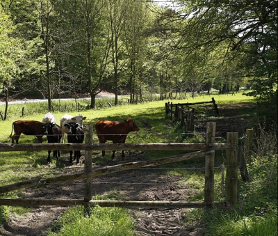 Cea mai tare provocare a verii: Găsește femeia dezbrăcată din poză