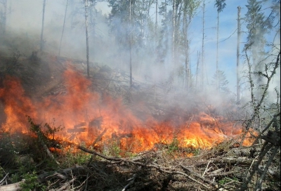 Incendiu de vegetație de proporții în Cipru: 2 morți