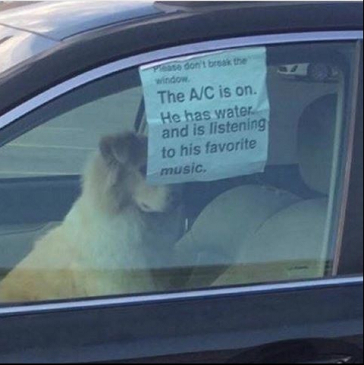 A încuiat câinele în mașină și a lăsat un bilet în geam. Trecătorii au rămas șocați când l-au citit