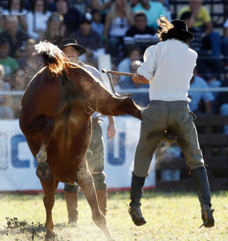 12 fotografii SPECTACULOASE surprinse la momentul potrivit