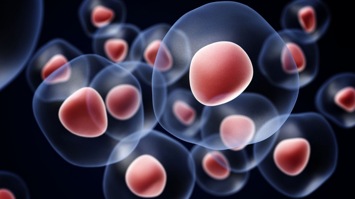 ce boli vindeca celulele stem