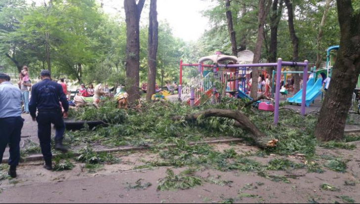Patru copii și doi adulți, răniți în parcul Cismigiu. Creanga unui copac a căzut la un loc de joacă