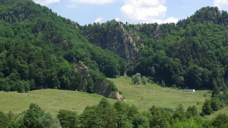 Patru persoane, dispărute în munţii Buzăului. Cum i-au găsit jandarmii montani