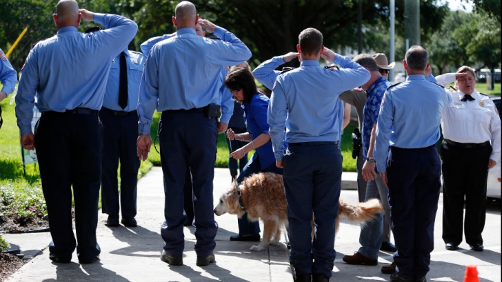A murit ultimul câine salvator în atentatele de la 11 septembrie