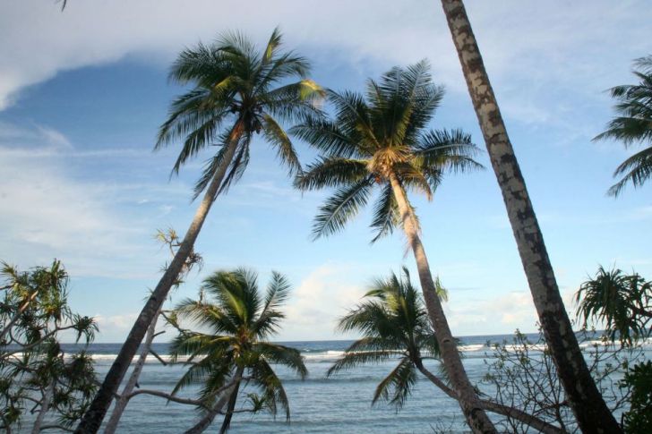 Insula din Pacific scoasă la loterie