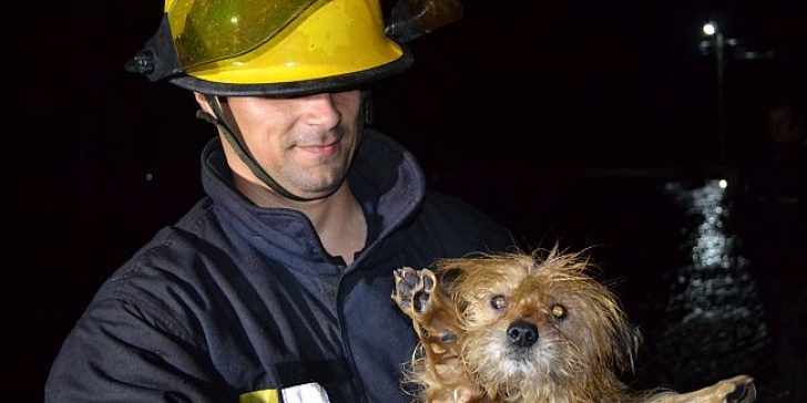 Inundaţii &icirc;n Suceava