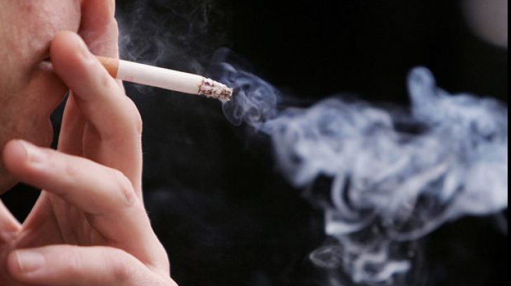 Cele 3 plante care elimină nicotina din corp