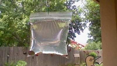 A agăţat pungi transparente umplute cu apă şi monede &icirc;n dreptul geamului. Motivul incredibil!