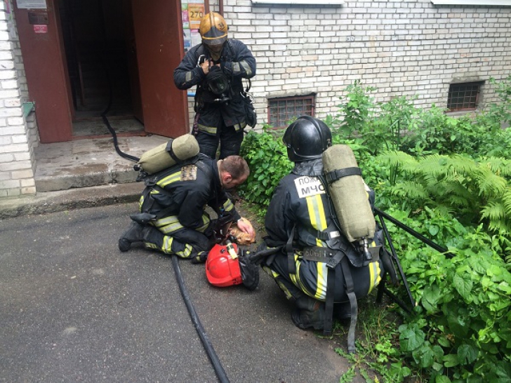Imaginea unor pompieri din Rusia a devenit virală! În ce ipostază au fost surprinşi