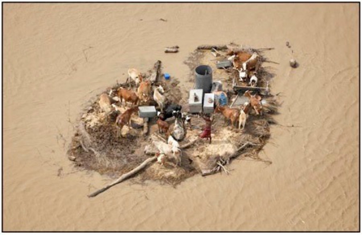 Cele mai impresionante fotografii cu dezastre naturale. Mama Natură, dezlănţuită