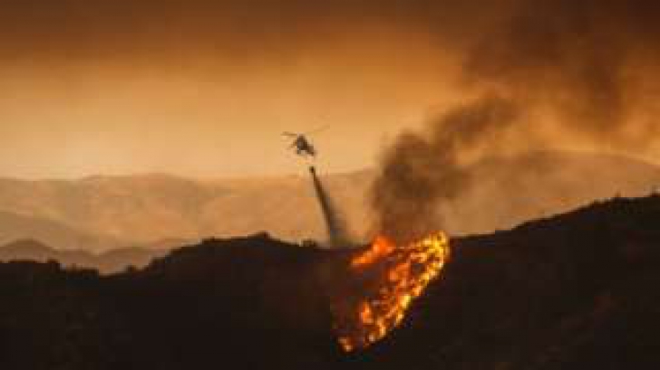 Incendii DEVASTATOARE în SUA! Mii de hectare de pădure, mistuite de flăcări