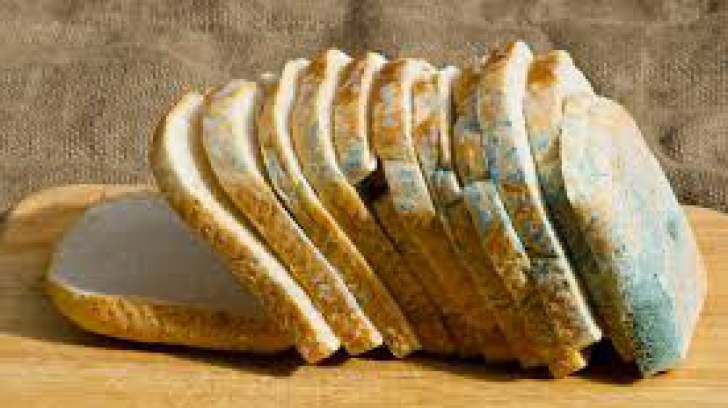 Ce ce întâmplă dacă mănânci pâine mucegăită? Este mai rau decât credeai