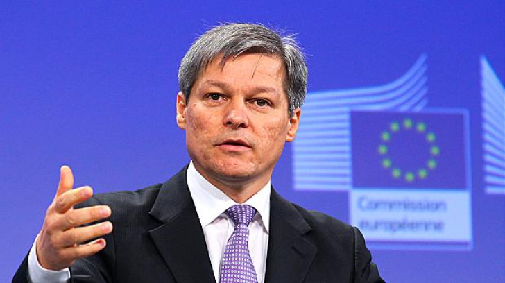 Dacian Cioloș cere schimbarea procedurilor de avizare a transportului de masă lemnoasă 