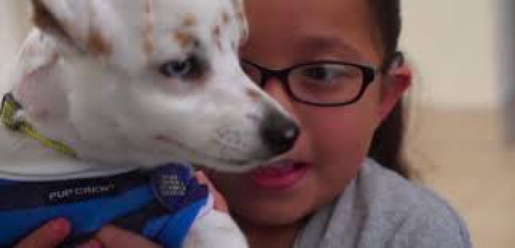 Poveste extraordinară: o fetiţă cu deficienţe de auz şi-a învăţat câinele să facă ASTA
