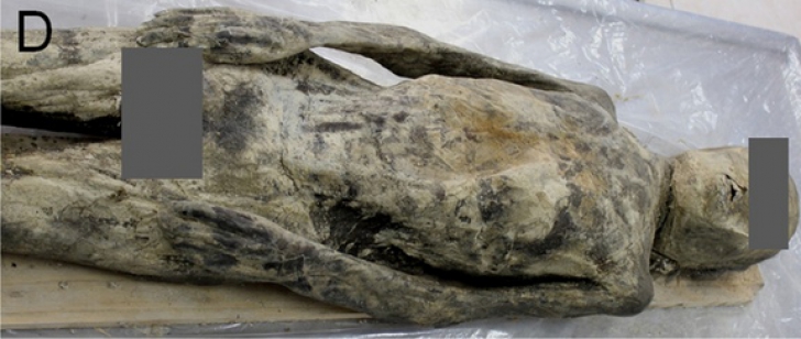 Descoperire macabră într-o mumie de 300 de ani. Oamenii de ştinţă, şocaţi