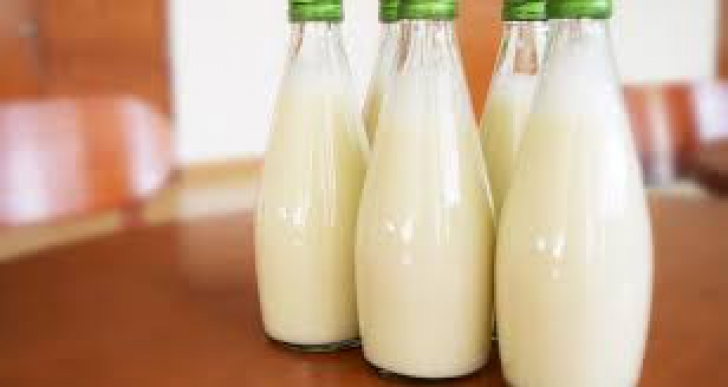 Acesta e cel mai SĂNĂTOS lapte, dar felul în care e produs dezgustă pe oricine