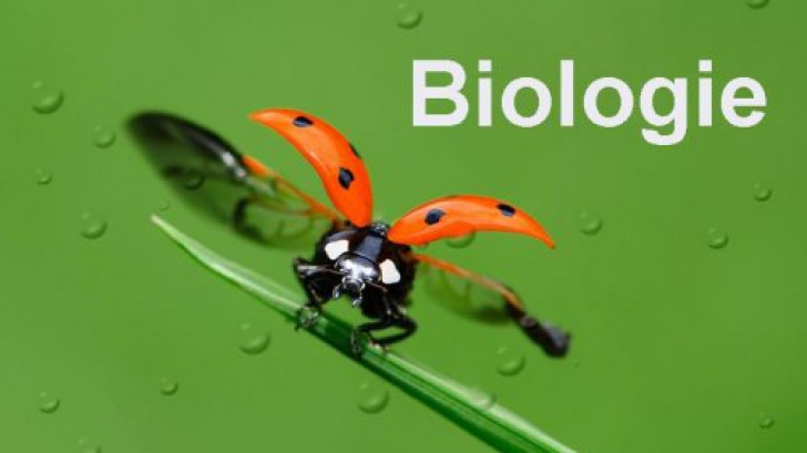 Subiecte BAC Biologie 2016
