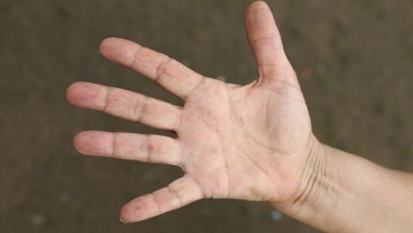 3 semne din palma ta care arată cât de bogat vei fi – Dezvăluiri uluitoare! Află dacă le ai și tu