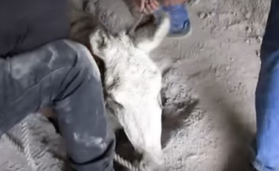 Au auzit sunete GROAZNICE într-o gaură din temelie. Au spart betonul cu târnăcopul, au rămas ŞOCAŢI