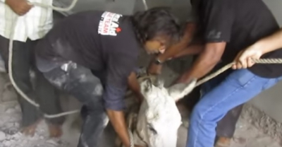 Au auzit sunete GROAZNICE într-o gaură din temelie. Au spart betonul cu târnăcopul, au rămas ŞOCAŢI