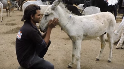 Au auzit sunete GROAZNICE într-o gaură din temelie. Au spart betonul cu târnăcopul, au rămas ŞOCAŢI