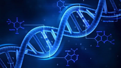 Mesaj de la Dumnezeu înscris în ADN. Cercetătorii au descrifrat misterele codului genetic uman
