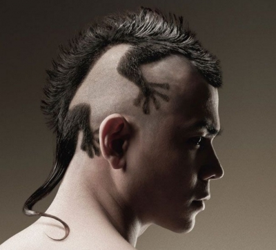 Cele mai ciudate tunsori din lume! Au vrut ca toată lumea să îi privească şi asta au obţinut