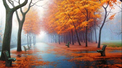 Cum va fi vremea în fiecare zi, până la sfârșitul săptămânii