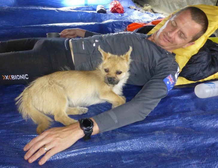 Un maratonist s-a trezit cu un câine care alerga după el. Ce a urmat emoţionează întreaga lume!