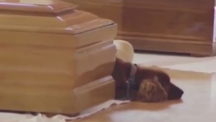 Scene emoţionante. Un câine nu vrea să se despartă de stâpânul mort în seismul devastator VIDEO