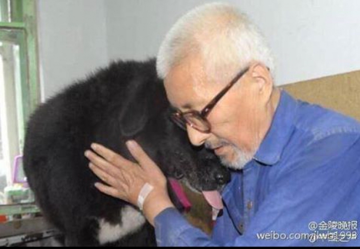 A decis să lase întreaga avere câinelui său, după ce și-a pierdut întreaga familie