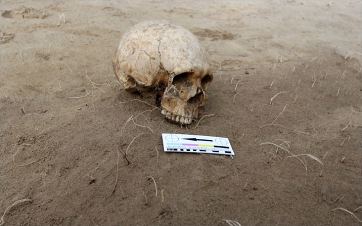 Au găsit un craniu în pământ. Când au cercetat atent, au încremenit. Ce se vedea pe el