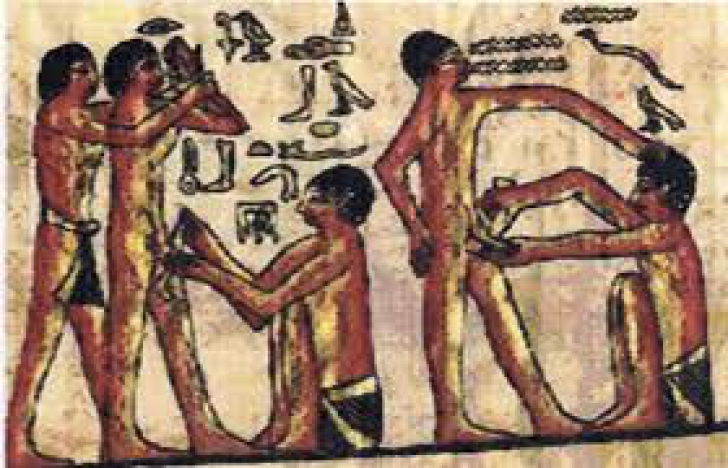Cum arătau primele prezervative din Egiptul Antic