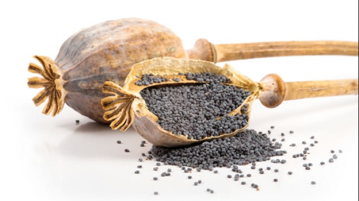 Beneficii uimitoare ale ceaiului din semințe de mac. Vindecă trei boli