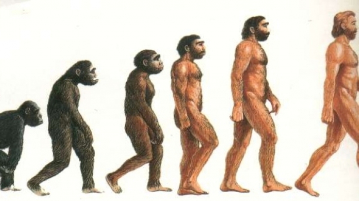 „Evoluţia speciei umane nu s-a încheiat!”. Teoria surprinzătoare care va schimba tot ce ştii despre oameni