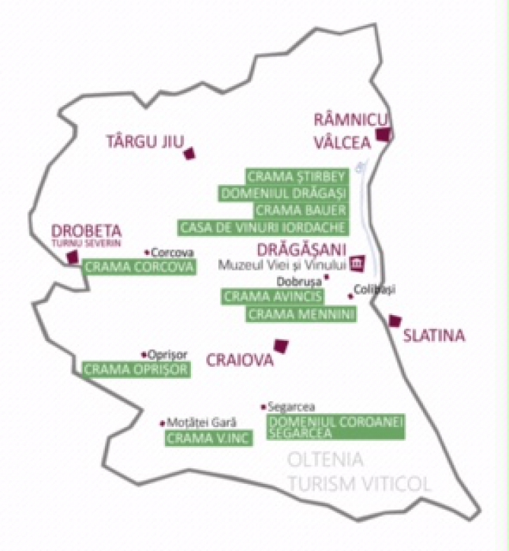 Turismul viticol, în creştere: 60 din cele 140 de crame din România pot fi vizitate de turişti