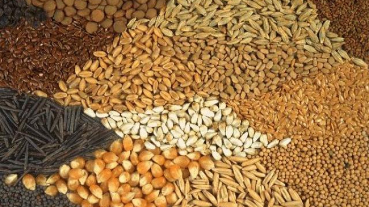 Ministrul Agriculturii: ”Țările arabe vor să importe din România produse agro-alimentare”