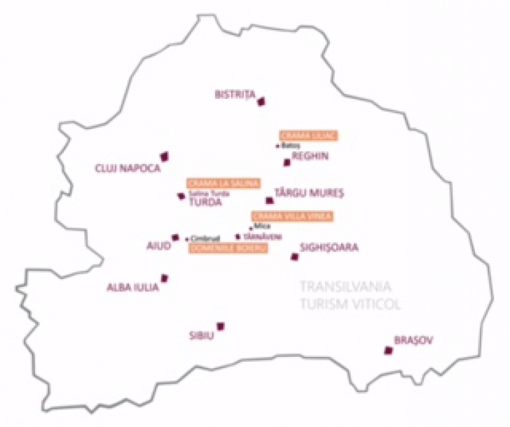 Turismul viticol, în creştere: 60 din cele 140 de crame din România pot fi vizitate de turişti