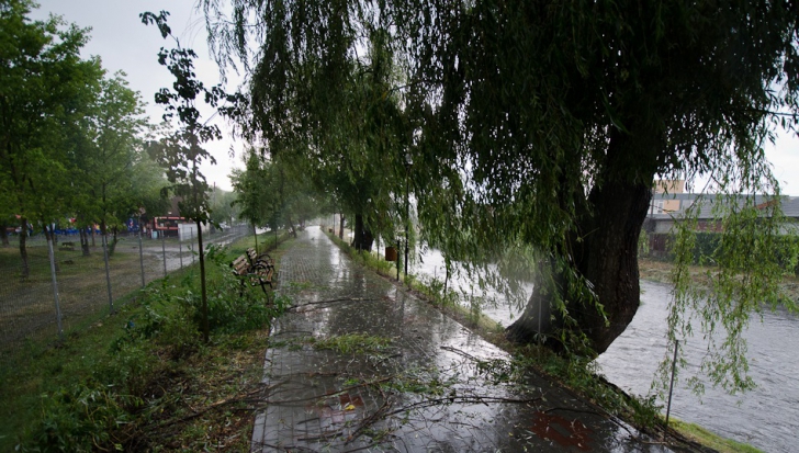 Furtuna a provocat dezastre în Maramureş: copaci căzuţi, maşini distruse şi acoperişuri smulse