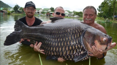 Peștele a tras momeala. S-a luptat 90 de minute. Când a scos monstrul din apă, pescarul a înlemnit