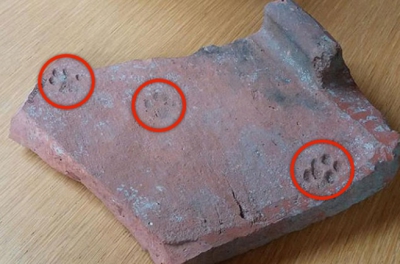 Arheologii au găsit ceva ciudat pe o ţiglă veche de 2.000 de ani. Când au aflat ce era, au amuţit!