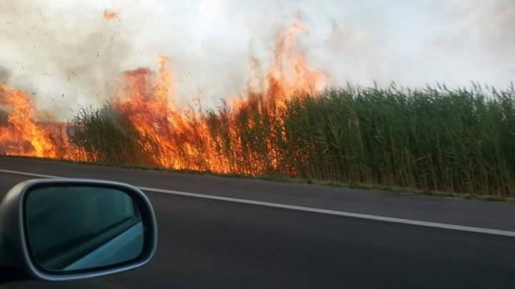 Incendiu de vegetație lângă Autostrada Bucureşti–Piteşti. Update