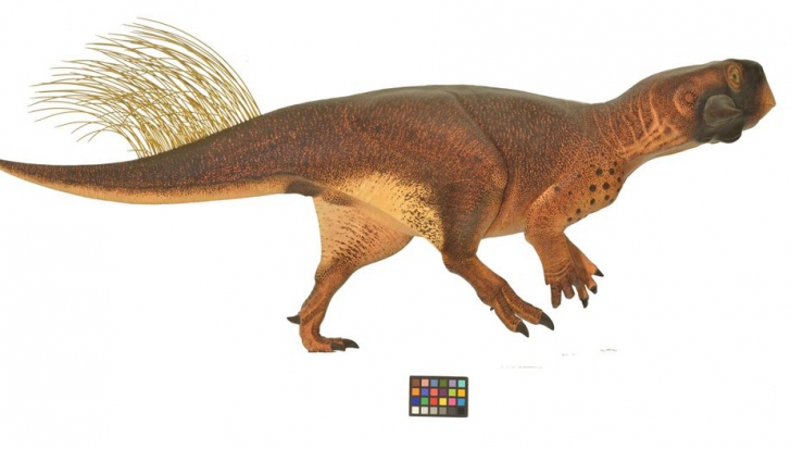 Dinozaurul papagal-cameleon