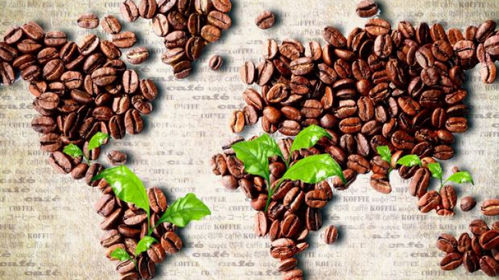  ALARMANT! Resursele globale de cafea sunt la final. Consumatorii sunt disperati